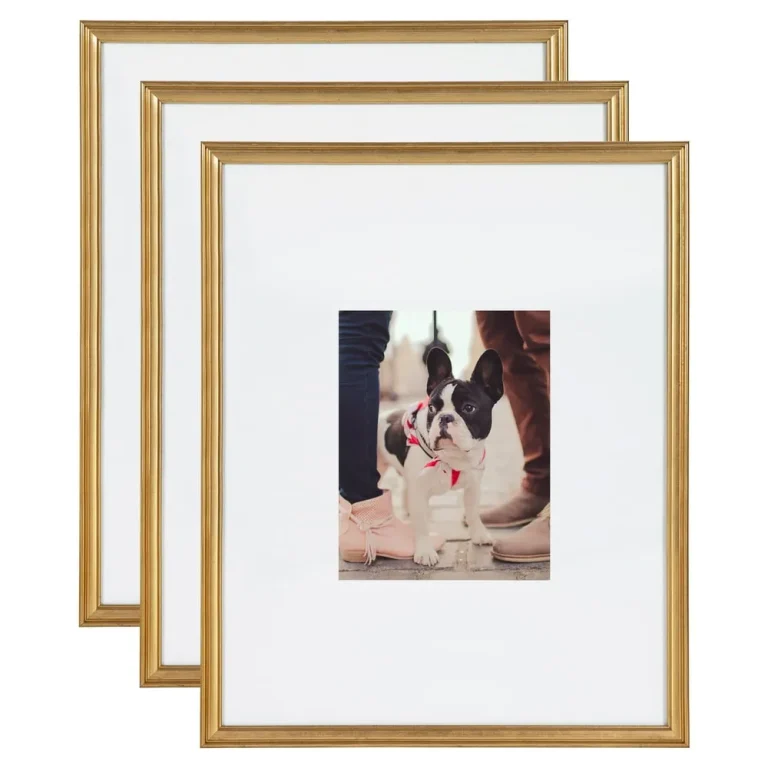 10 Best 16×20 Frames: Top Picks for 2024 to Showcase Your Art