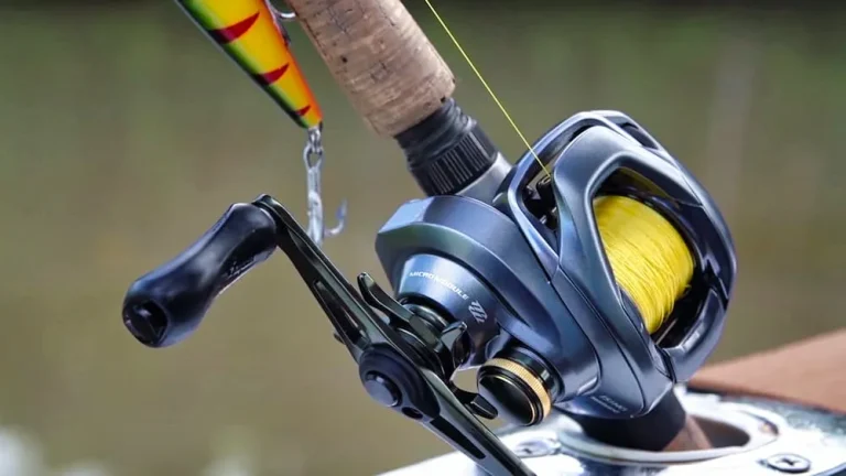 10 Best Baitcasters for 2024: Top Picks for Ultimate Fishing Performance