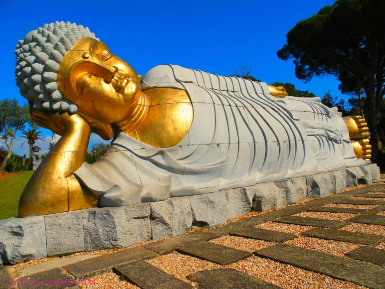 10 Best Buddha Statues for Serenity and Style: Top Picks for 2024