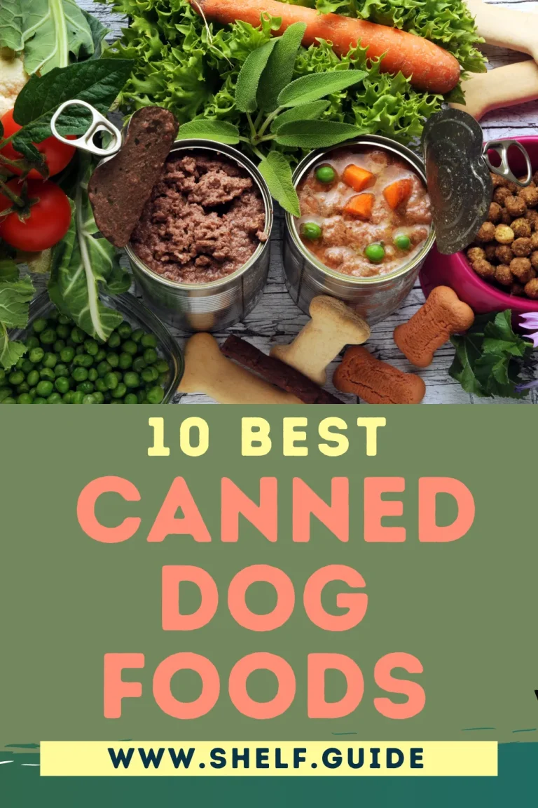 10 Best Canned Dog Food: Top Picks for Your Pup in 2024