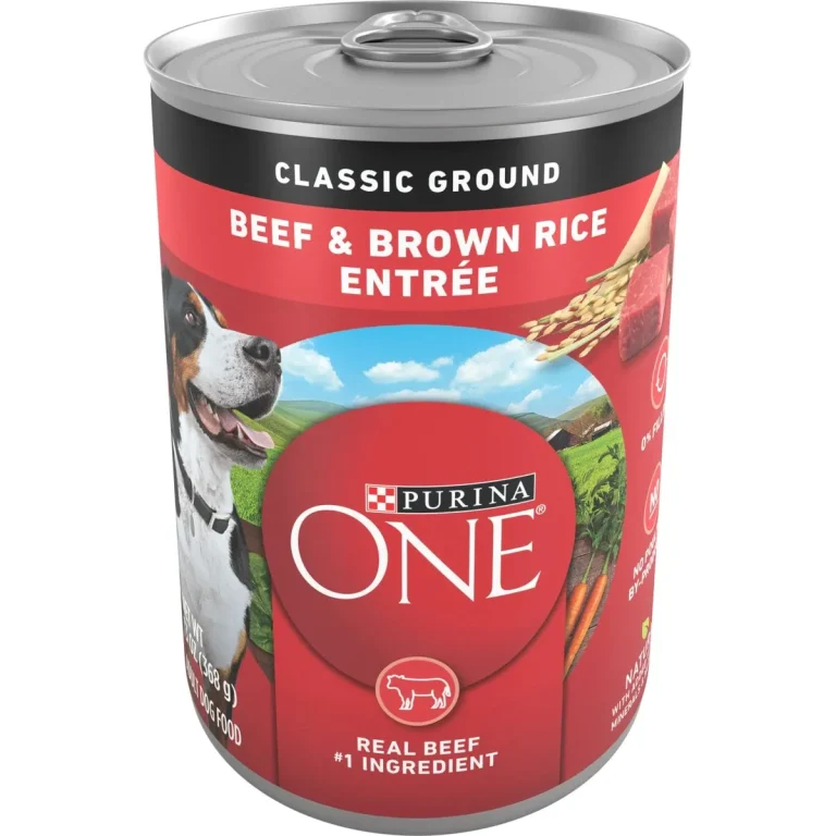 10 Best Canned Dog Foods for 2024: Top Choices for Your Canine Companion