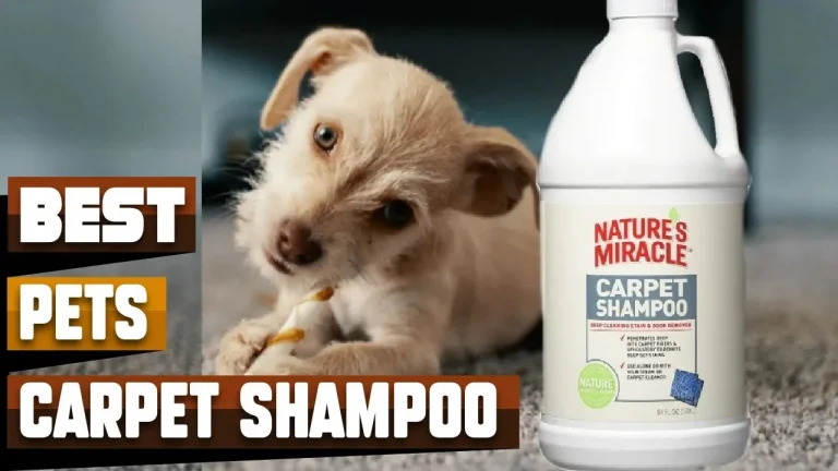 10 Best Carpet Shampoos for Pets: Top Picks for 2024’s Best Products