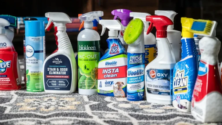 10 Best Carpet Stain Cleaners for 2024: Top Products You Need!