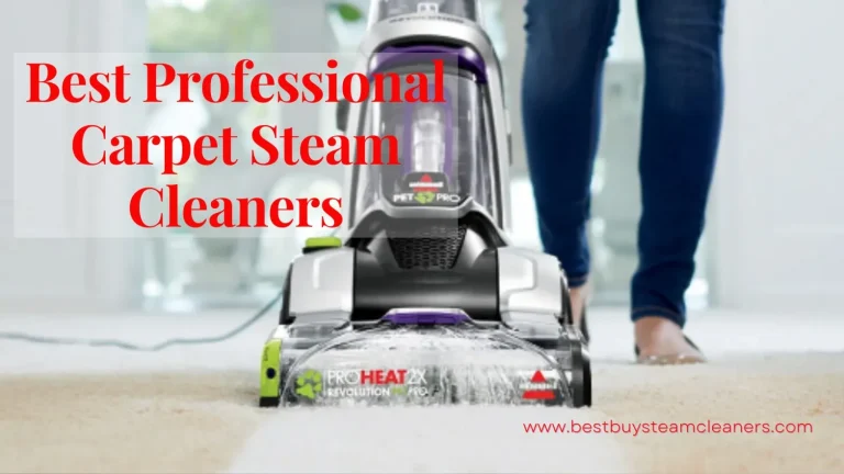 10 Best Carpet Steam Cleaner