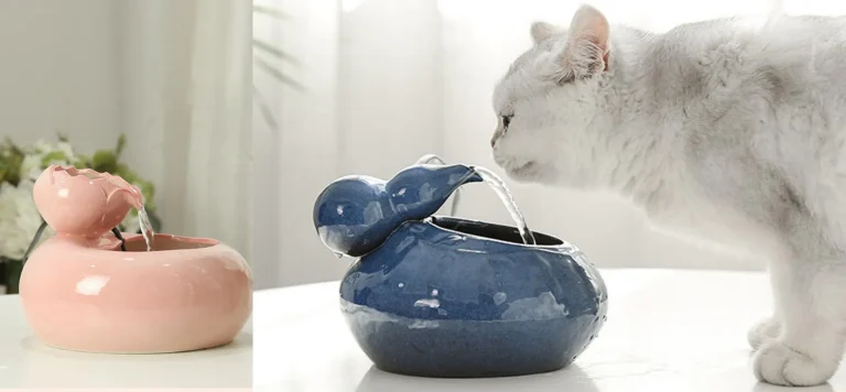 10 Best Cat Water Fountains of 2024: Keep Your Feline Hydrated!