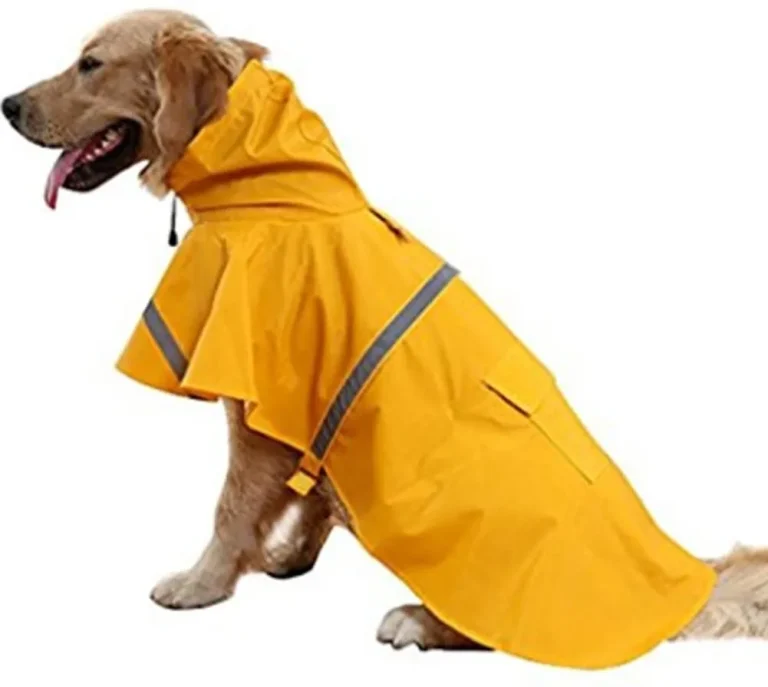 10 Best Dog Raincoats for 2024: Top Picks for Wet Weather Protection