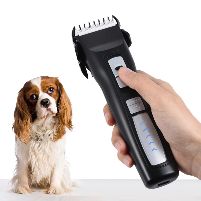 10 Best Dog Trimmers for 2024: Perfect Grooming Tools for Your Pet