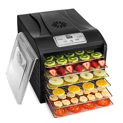 10 Best Food Dehydrators for 2024: Top Picks for Optimal Drying