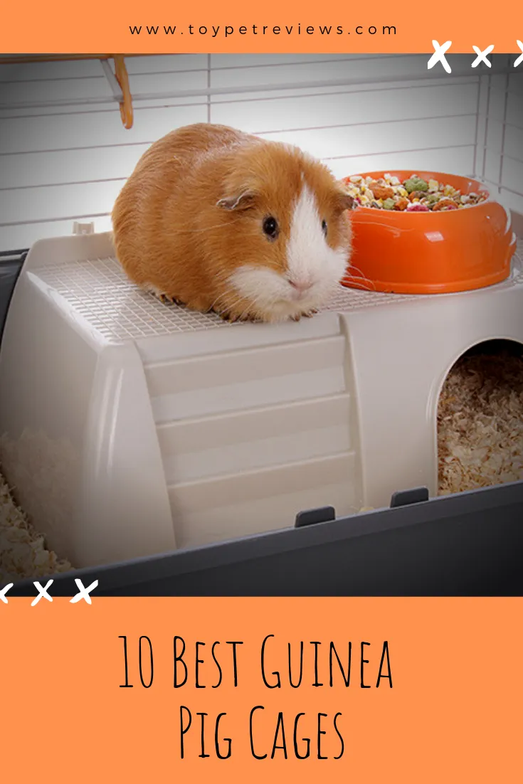 10 Best Guinea Pig Cages in 2024: Top Picks for Happy Pets