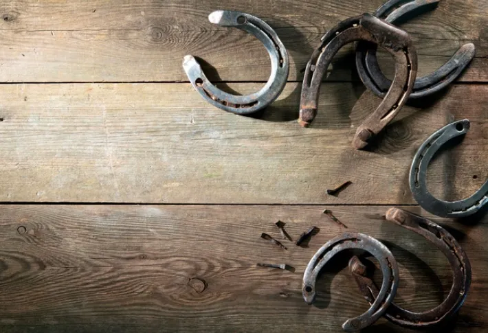 10 Best Horseshoes: Top Picks for 2024 You Can’t Miss!