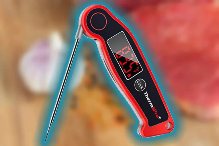 10 Best Meat Thermometers for Perfect Cooking in 2024