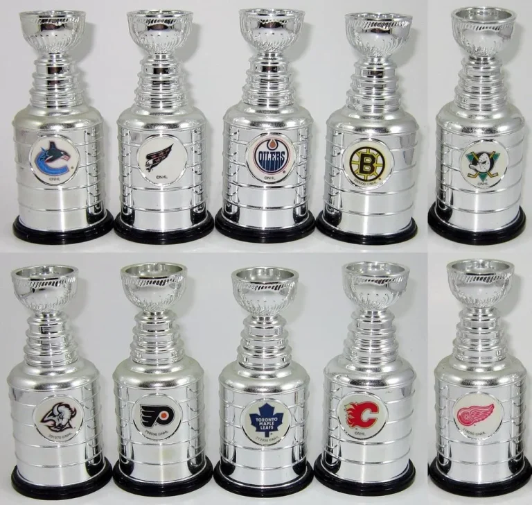 10 Best Mini Stanley Cups of 2024: Top Products for Hockey Fans