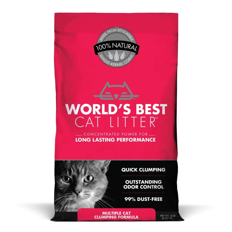 10 Best Multi Cat Litter Products for 2024: Top Picks for Your Feline Family