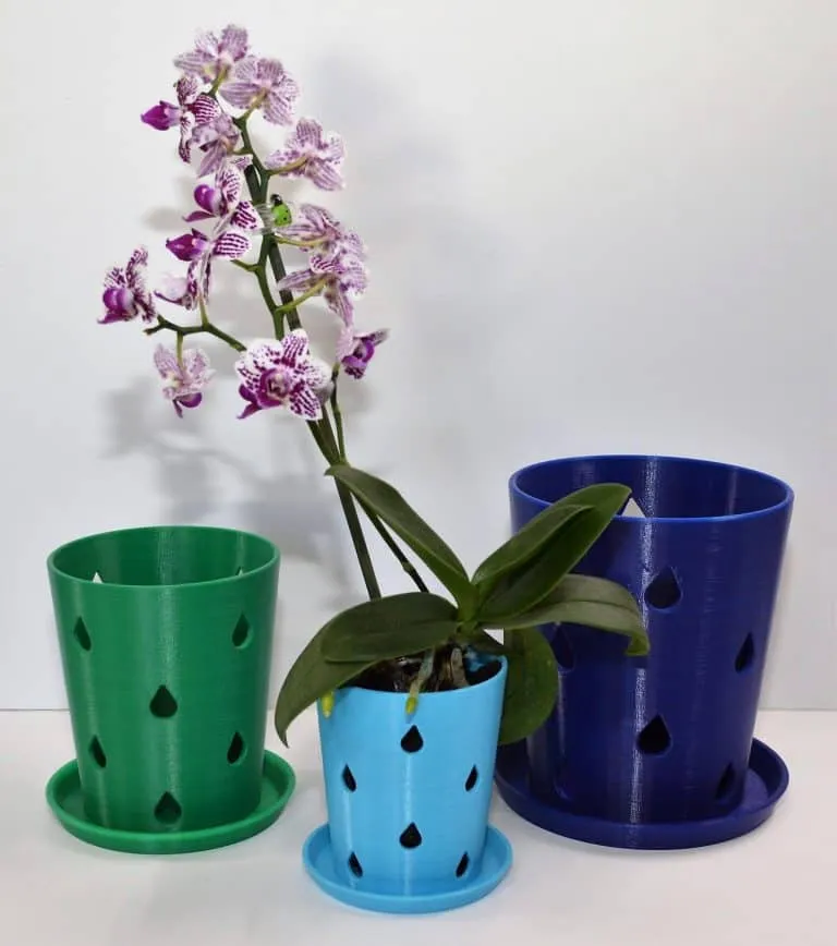 10 Best Orchid Pots: Top Choices for 2024 Perfect for Your Collection