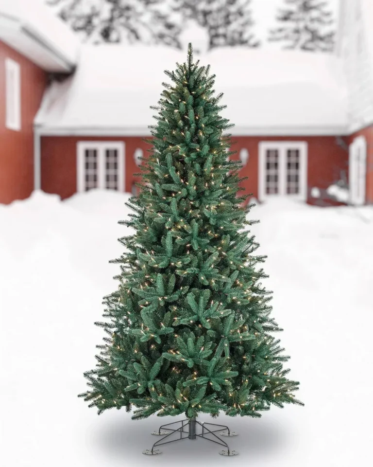 10 Best Outdoor Christmas Tree