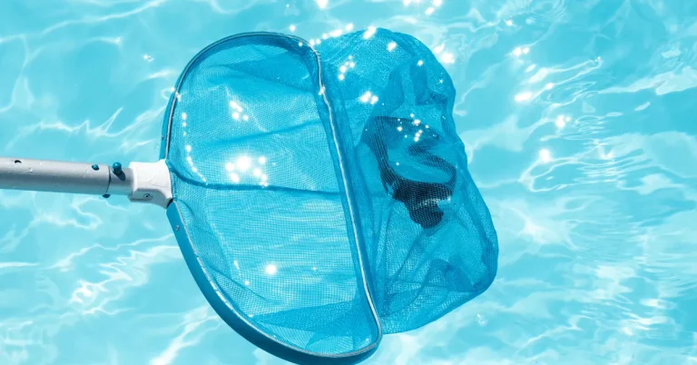 10 Best Pool Skimmers of 2024: Top Products for a Crystal Clear Pool