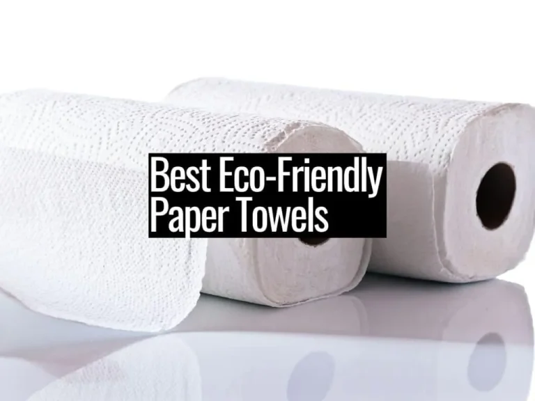 10 Best Reusable Paper Towels of 2024 for Eco-Friendly Cleaning