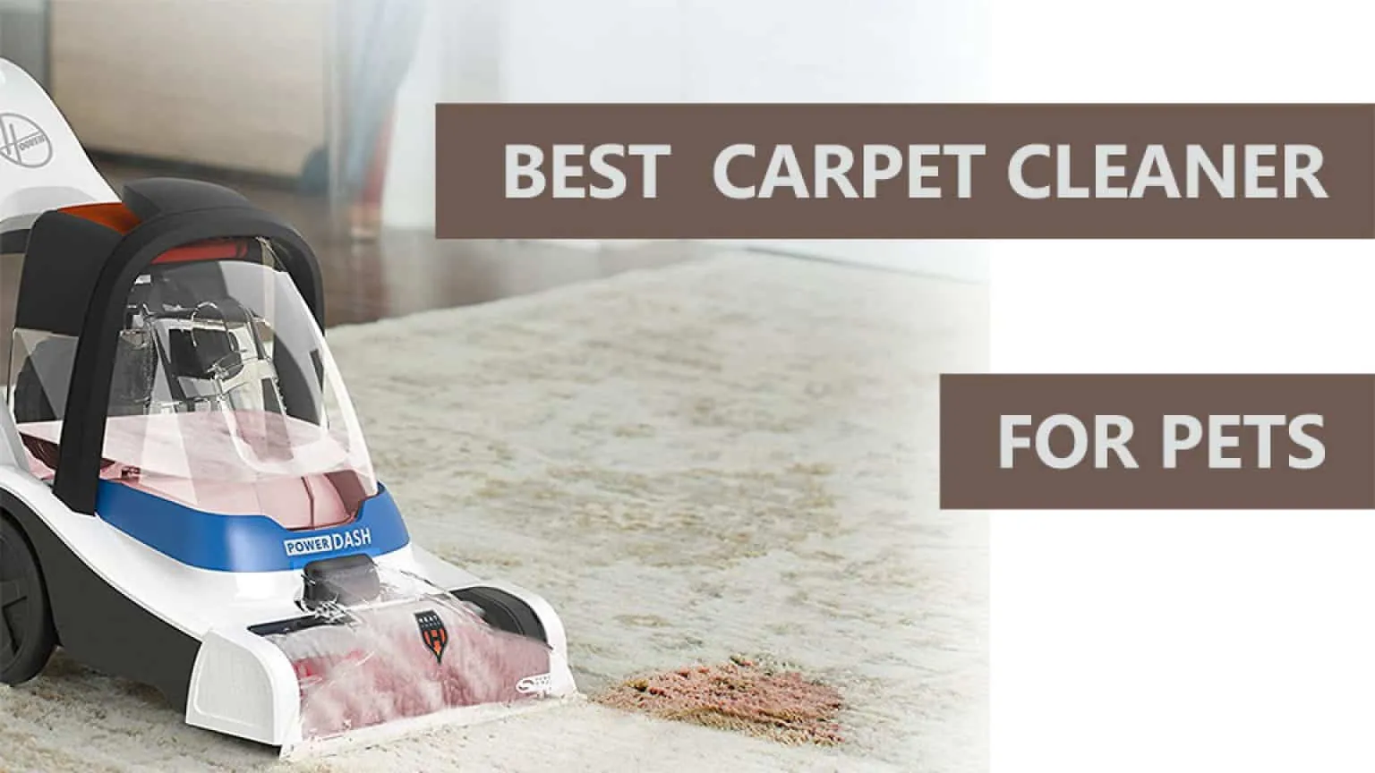 10 Best Rug Cleaners for Pets: Top Picks for 2024