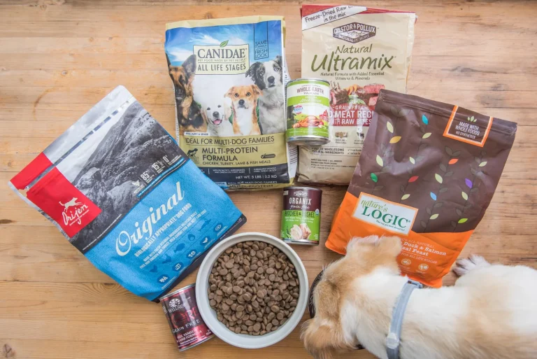 10 Best Small Dog Foods for 2024: Top Picks for Your Furry Friend