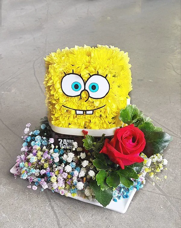 10 Best Spongebob Flowers: Top Picks for 2024 That Will Brighten Your Home