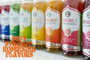 10 Best Synergy Kombucha Products to Refresh You in 2024