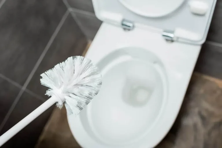 10 Best Toilet Brushes for 2024: Top Picks for a Spotless Bathroom