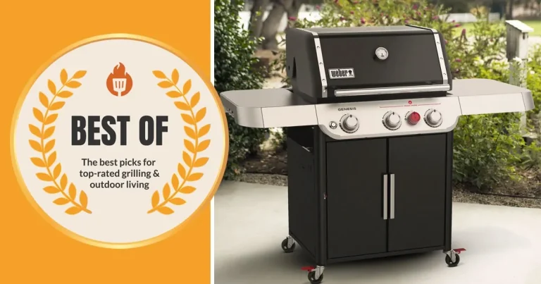 10 Best Weber Gas Grills for 2024: Top Products for Perfect Grilling