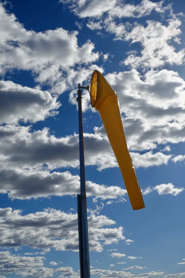 10 Best Windsock