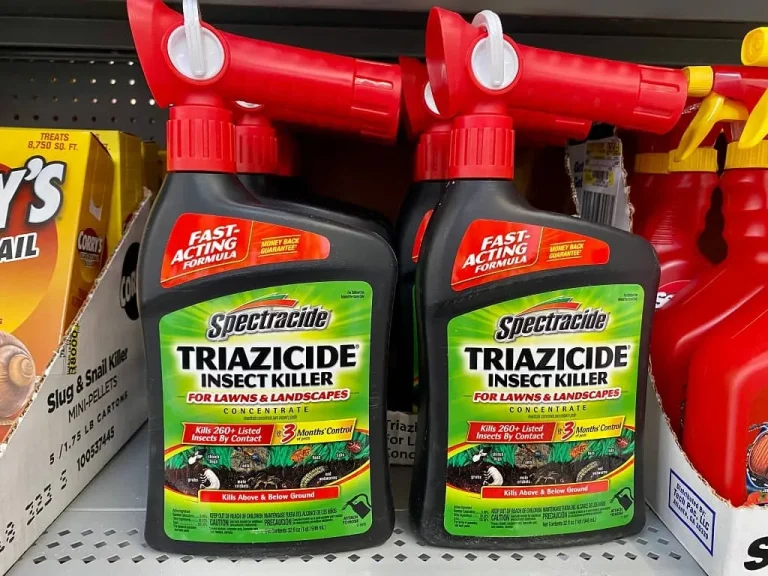 10 Best Yard Bug Killers for 2024: Top Products to Keep Bugs Away