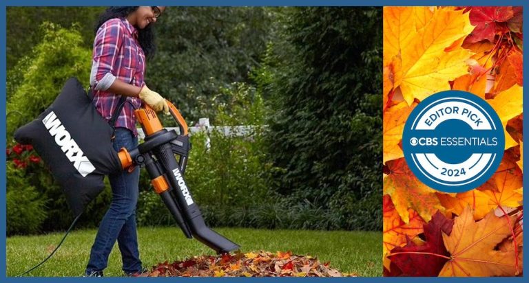 10 Best Leaf Blowers: Top Picks for 2024’s Best Outdoor Cleanup Tools