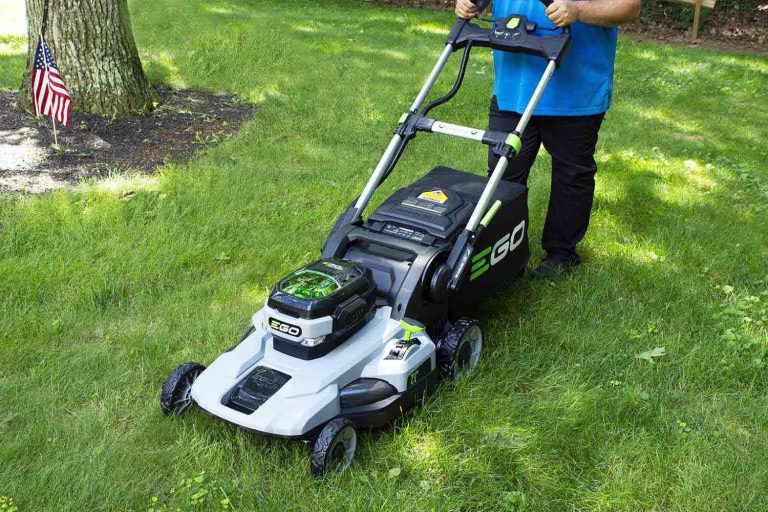 10 Best Weed Whackers of 2024: Top Picks for Effortless Lawn Care