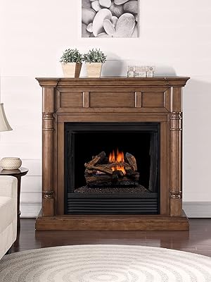 10 Best Ventless Gas Fireplaces for Cozy Living in 2024