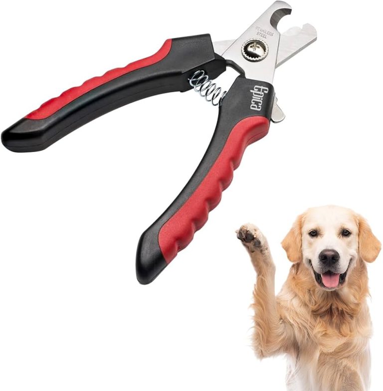 10 Best Dog Toenail Trimmers for Effortless Grooming in 2024