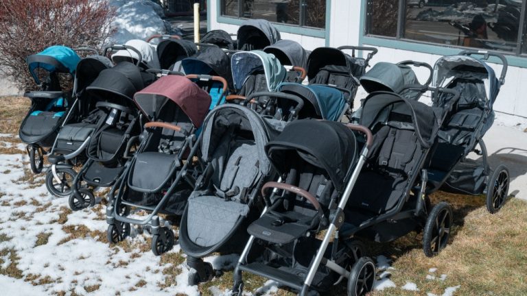 10 Best Strollers of 2024: Top Picks for Comfort and Convenience