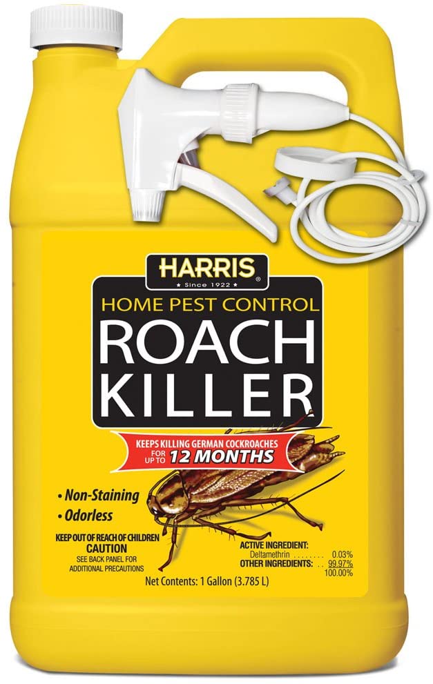 Roach Spray Buying Guide: Find the Best Solutions for Your Home