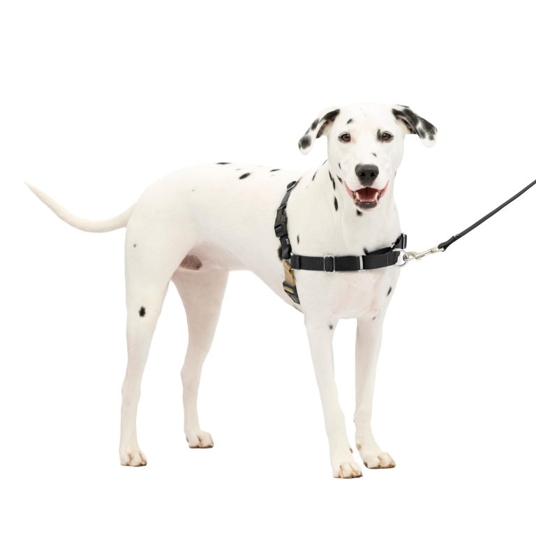 10 Best No Pull Dog Harnesses for Ultimate Control in 2024