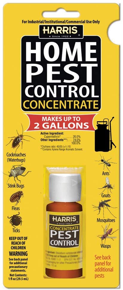 10 Best Pest Control Products for Roaches in 2024: Effective Solutions