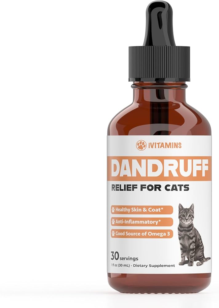 10 Best Cat Dandruff Solutions for a Healthier Coat in 2024