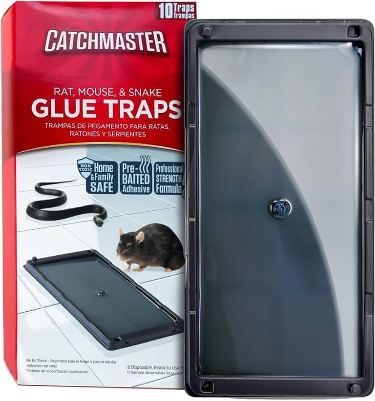 10 Best Rat Traps for Effective Pest Control in 2024