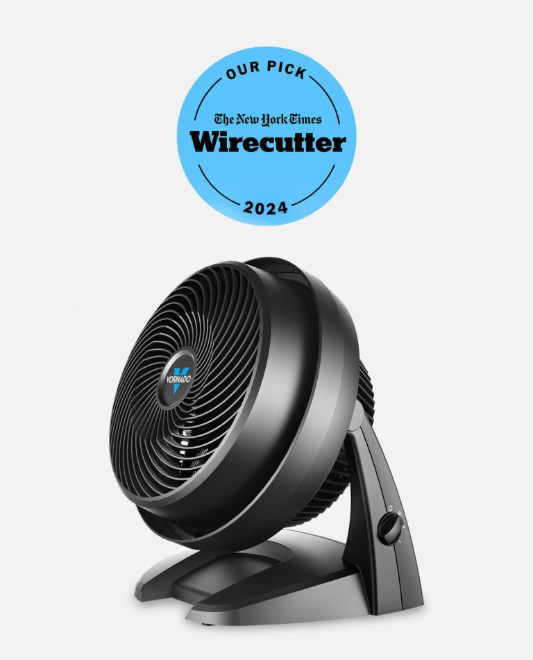 10 Best Fans to Cool Your Space: Wirecutter’s Top Picks for 2024