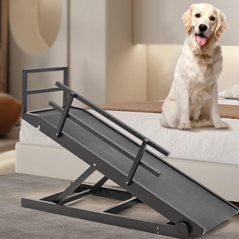 10 Best Bed Ramps for Small Elderly Dogs Over 0 in 2024