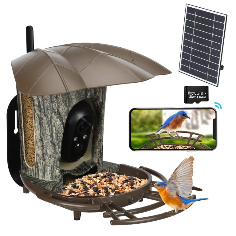 10 Best Smart Bird Feeders for 2024: Top Products to Attract Birds