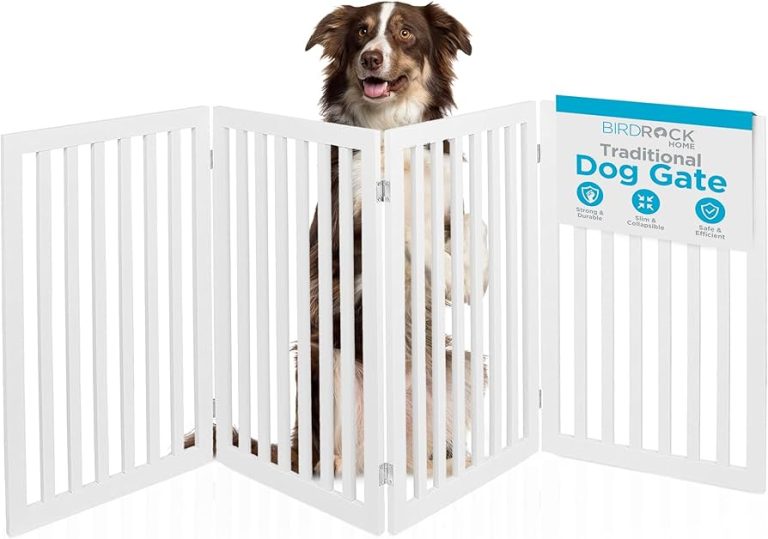 10 Best Dog Fences: Top Picks for 2024’s Best Pet Containment Solutions