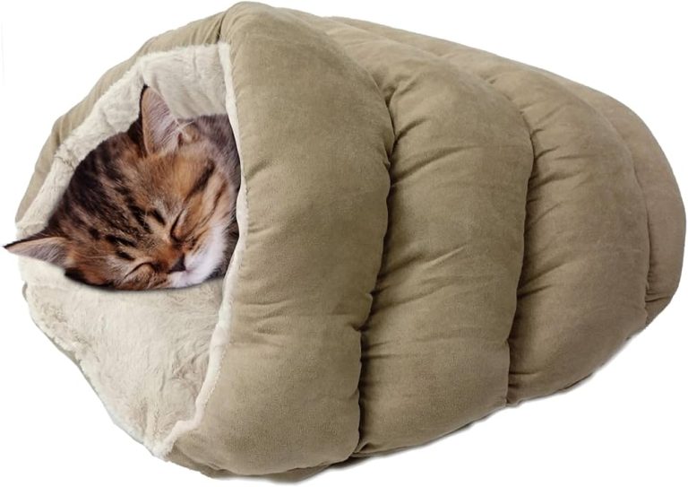 10 Best Cat Beds of 2024: Ultimate Comfort for Your Feline Friend