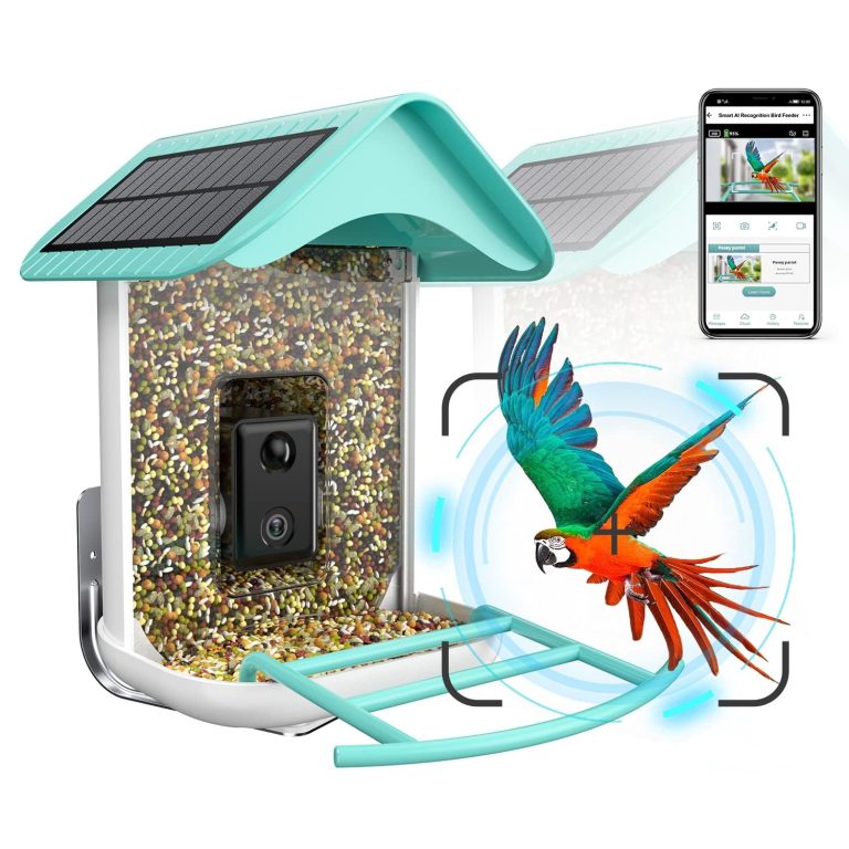 10 Best Bird Feeder Cameras of 2024: Capture Nature’s Beauty