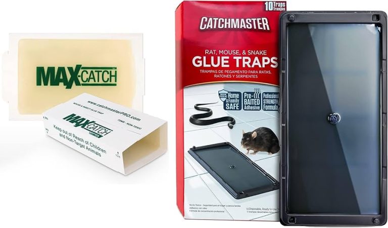 10 Best Outdoor Mouse Traps: Top Picks for 2024 to Keep Pests Away