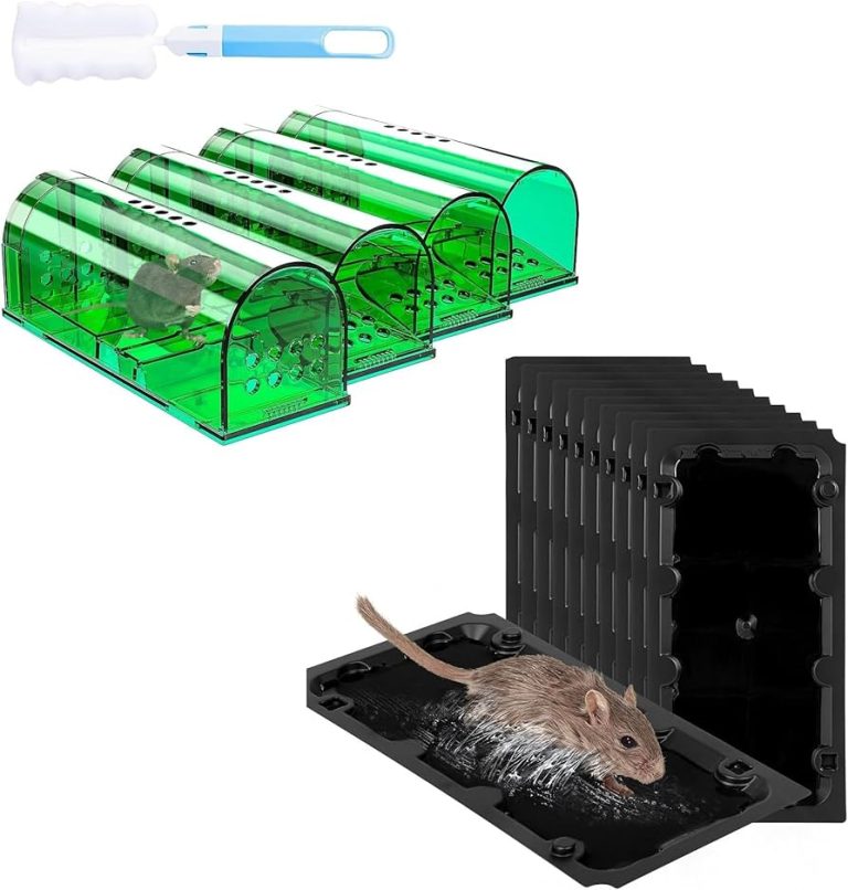 10 Best Reusable Mouse Traps You Need to Try in 2024