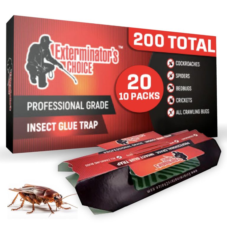 Reusable Mouse Traps Buying Guide: Smart Choices for Effective Control