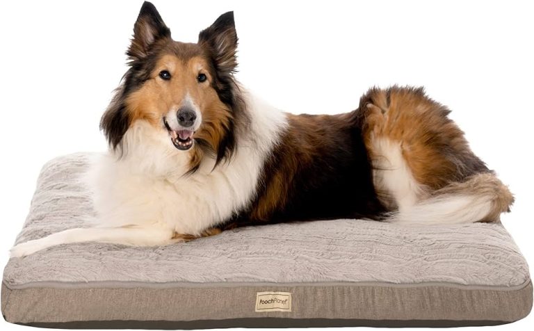 10 Best Big Dog Beds for 2024: Ultimate Comfort for Your Large Pooch