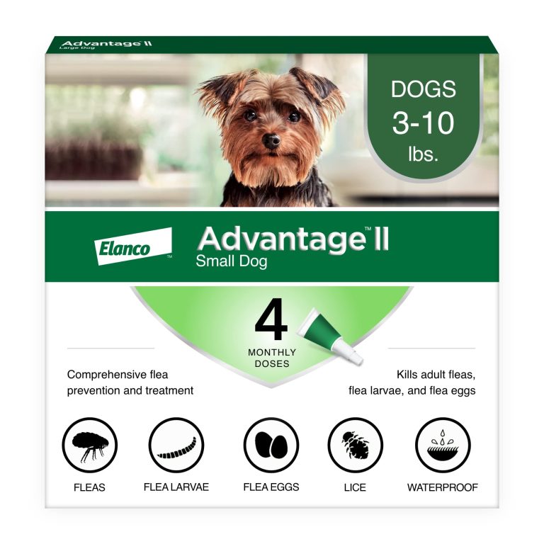 10 Best Flea Medicine for Dogs Without Vet Prescription: 2024 Guide